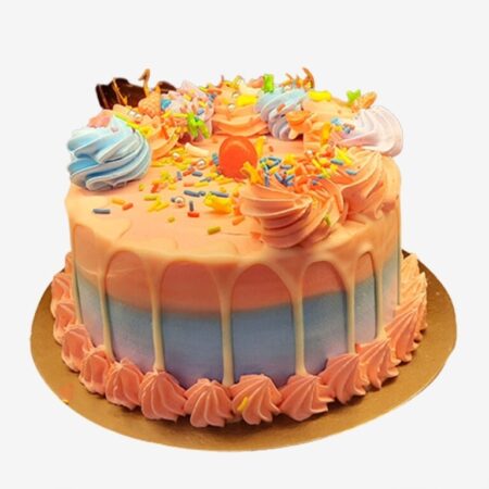 Two Layers Rainbow Cake