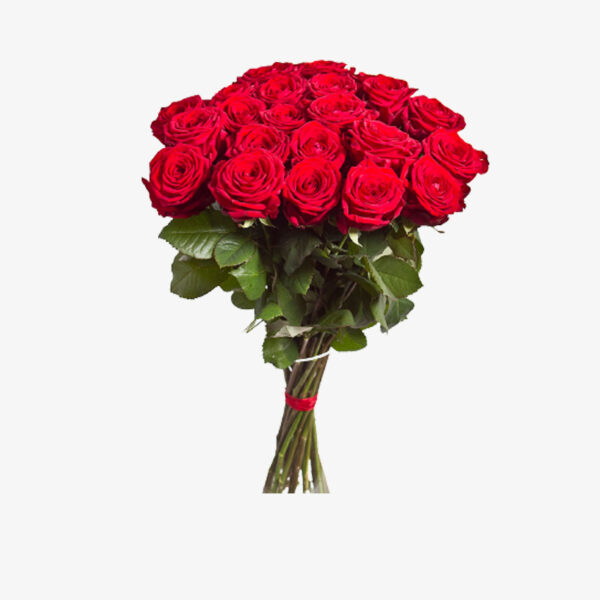 Appealing Red Roses